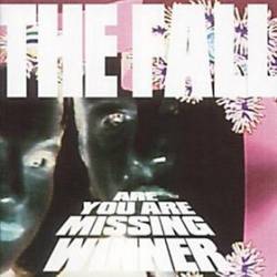The Fall : Are You Are Missing Winner